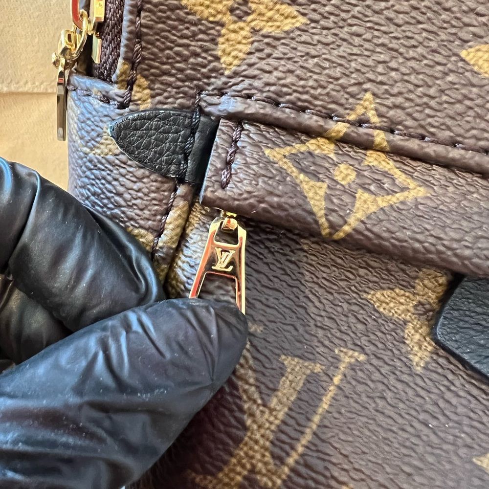 LOUIS VUITTON (LV) PALM SPRINGS MINI BACKPACK - Picture 10 of 14